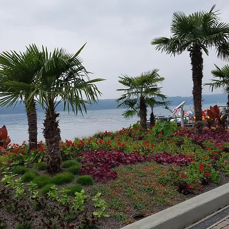 Loft Orchidee דירה