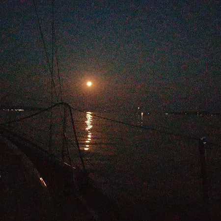 Apartman Loft Orchidee *