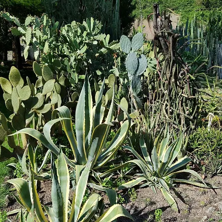 Loft Orchidee Uberlingen