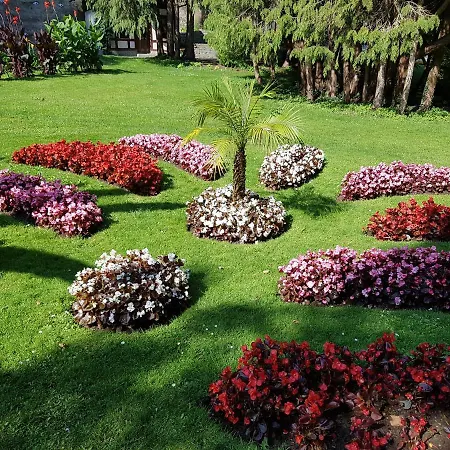 Appartement Loft Orchidee