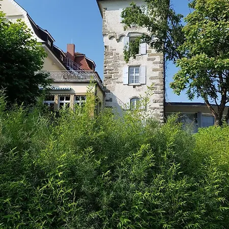 Appartement Loft Orchidee