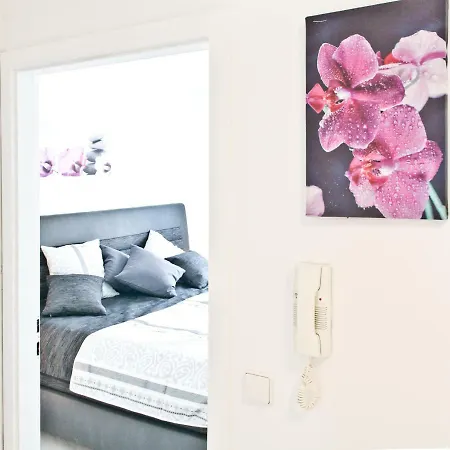 Loft Orchidee *