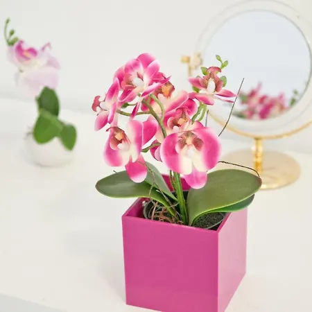 Appartement Loft Orchidee *