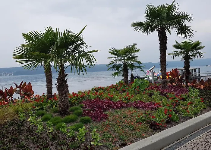 Loft Orchidee Apartman