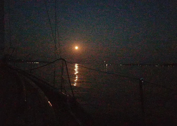 Lägenhet Loft Orchidee *