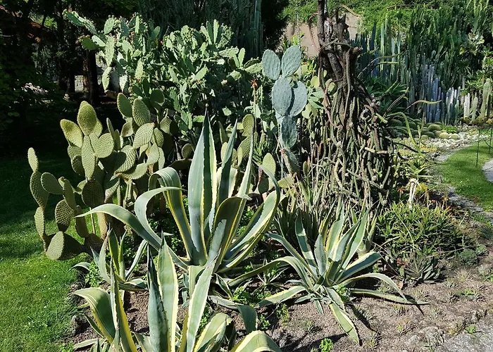 Loft Orchidee Überlingen
