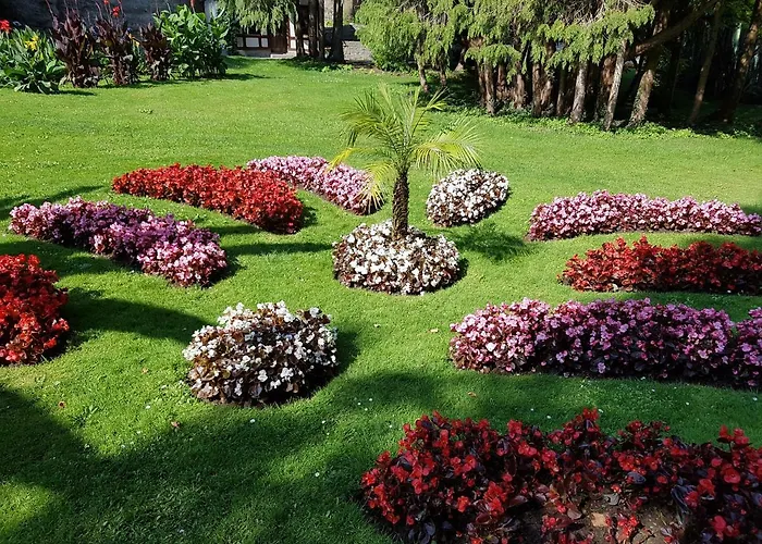 Apartman Loft Orchidee