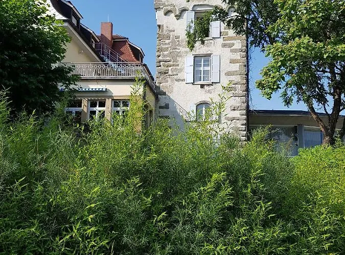 Lägenhet Loft Orchidee