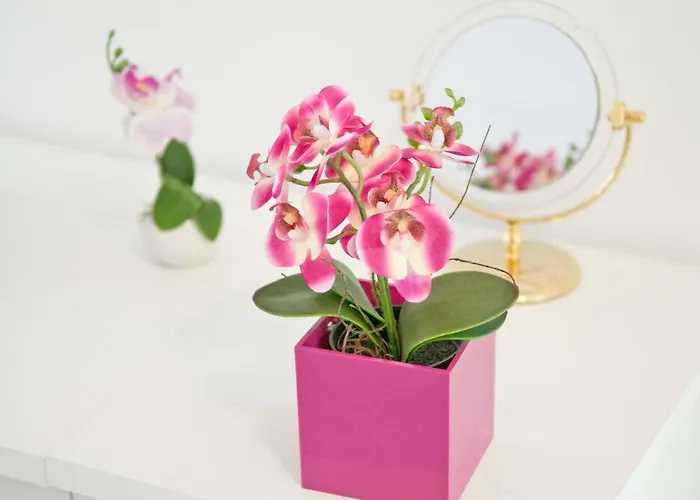 Lägenhet Loft Orchidee *